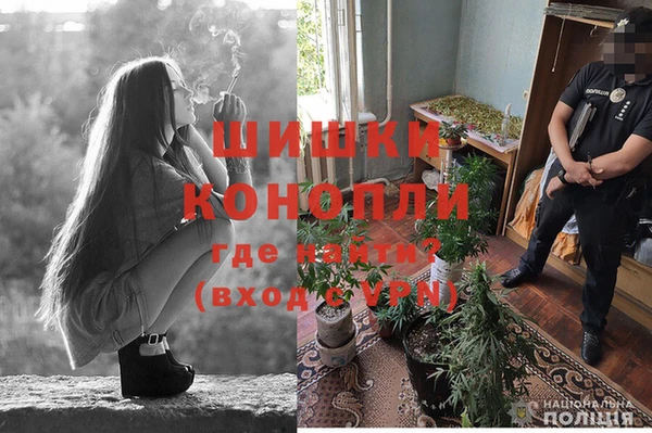 дмт Лагань