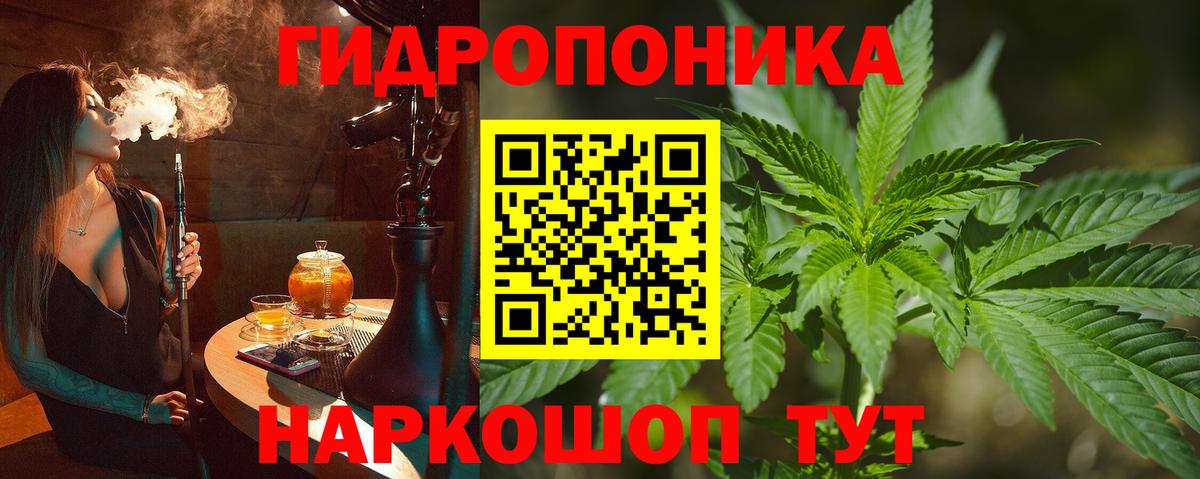 Альфа ПВП Урус-Мартан